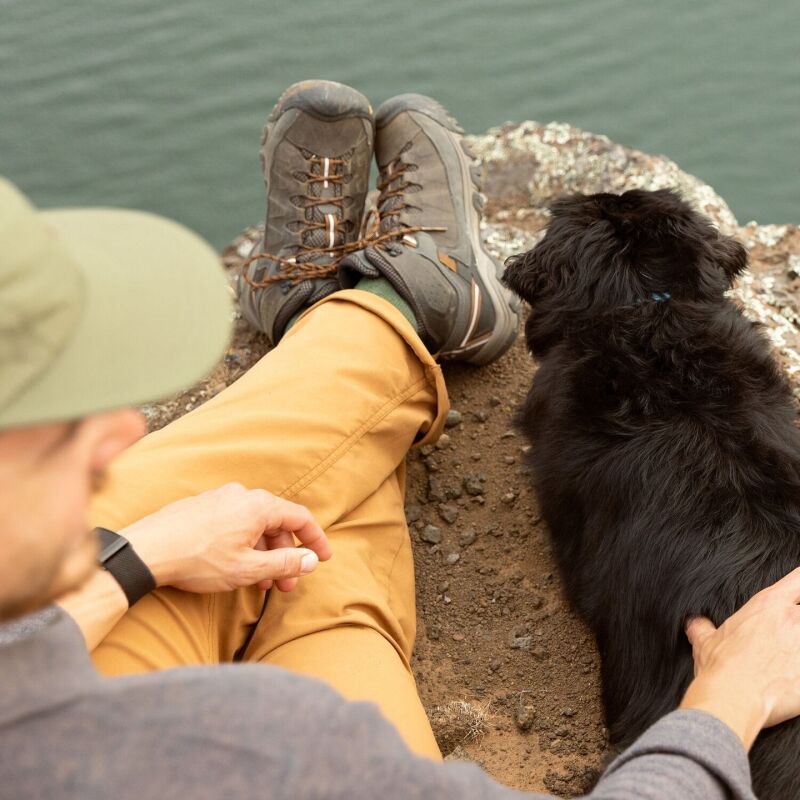 Keen Targhee III Mid WP Men's Black Olive/Golden Brown